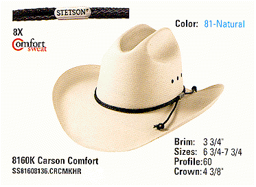 Carson Comfort image.